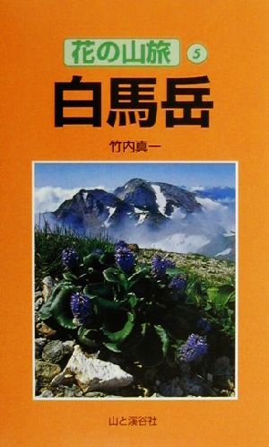 白馬岳 花の山旅5