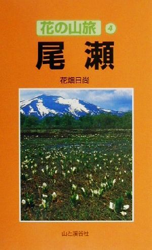 尾瀬 花の山旅4