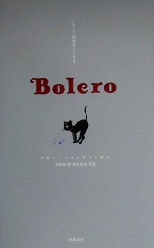 Bolero 世界でいちばん幸せな屋上