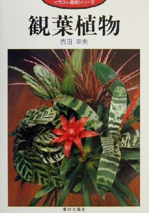 観葉植物 イラスト園芸シリーズ