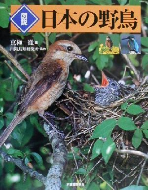 図説 日本の野鳥 ふくろうの本