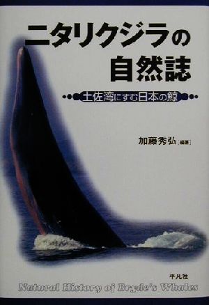 ニタリクジラの自然誌土佐湾にすむ日本の鯨