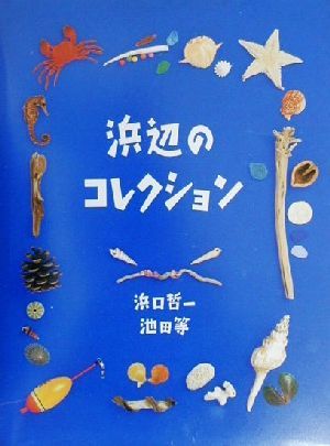 浜辺のコレクション ふしぎコレクション1