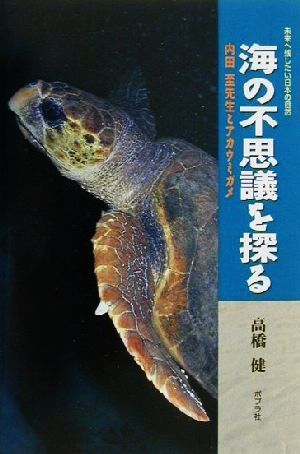 海の不思議を探る 内田至先生とアカウミガメ 未来へ残したい日本の自然4