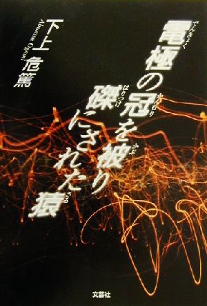 電極の冠を被り磔にされた猿