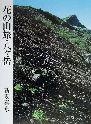 花の山旅・八ケ岳