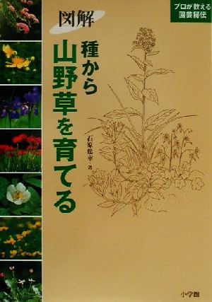 図解 種から山野草を育てる プロが教える園芸秘伝 プロが教える園芸秘伝