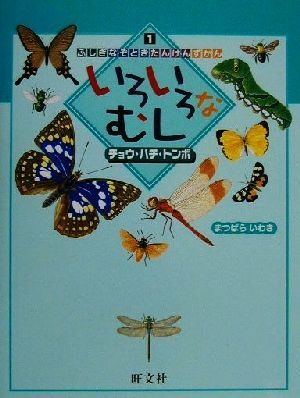 いろいろなむし チョウ・ハチ・トンボ ふしぎなぞときたんけんずかん1