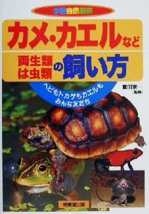 カメ・カエルなど両生類・は虫類の飼い方 ヘビもトカゲもカエルもみんな友だち 学習自然観察