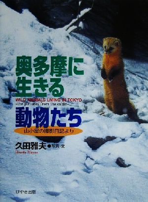 奥多摩に生きる動物たち 山小屋の撮影日記より