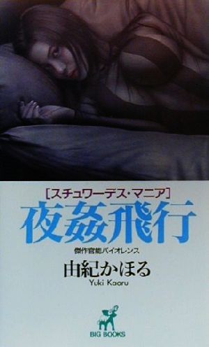 「スチュワーデス・マニア」夜姦飛行 傑作官能バイオレンス BIG BOOKS