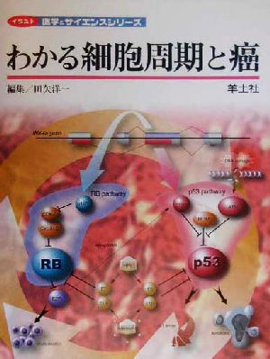 わかる細胞周期と癌 イラスト医学&サイエンスシリーズ