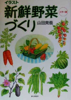 イラスト新鮮野菜づくり カラー版