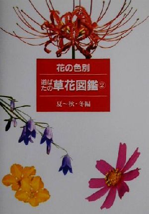 花の色別 道ばたの草花図鑑(2) 夏～秋・冬編