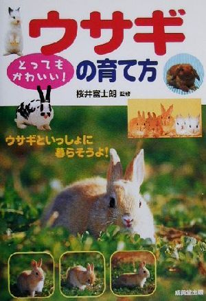 とってもかわいい！ウサギの育て方