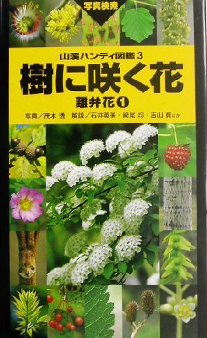 樹に咲く花 離弁花(1)山渓ハンディ図鑑3