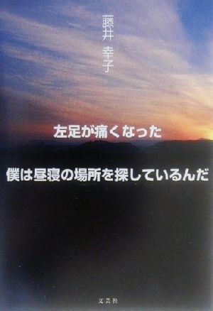 左足が痛くなった・僕は昼寝の場所を探しているんだ