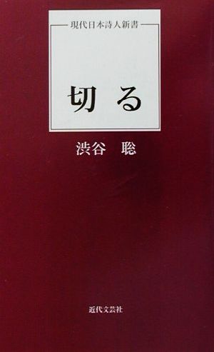 切る 現代日本詩人新書