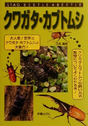 クワガタ・カブトムシ