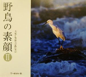 野鳥の素顔(2) 大栗川PHOTO倶楽部