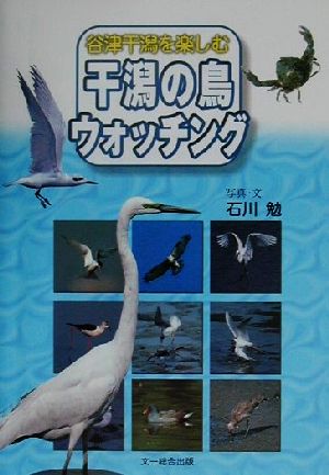 谷津干潟を楽しむ干潟の鳥ウォッチング 谷津干潟を楽しむ