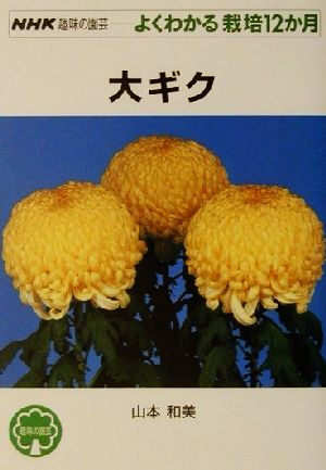 趣味の園芸 大ギク よくわかる栽培12か月 NHK趣味の園芸