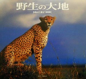 野生の大地 森田千恵子写真集 Toho color books