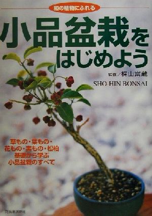 小品盆栽をはじめよう 和の植物にふれる