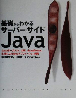 基礎からわかるサーバー・サイドJava Javaサーブレット、JSP、JavaBeans、EJBによるWebアプリケーション開発