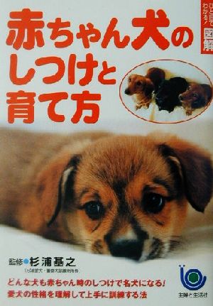 ひと目でわかる！図解 赤ちゃん犬のしつけと育て方 ひと目でわかる！図解