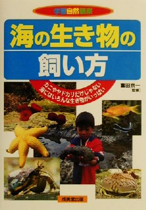 海の生き物の飼い方 カニやヤドカリだけじゃない 海にはいろんな生き物がいっぱい 学習自然観察