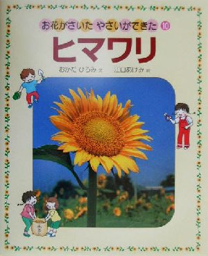 お花がさいた・やさいができた(10)ヒマワリ