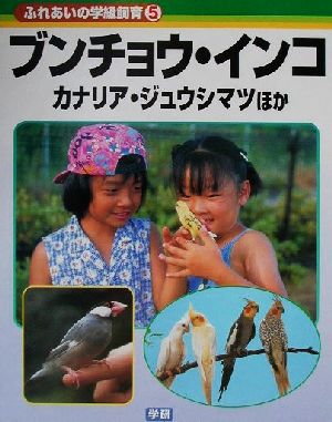 ふれあいの学級飼育(5) ブンチョウ・インコ・カナリア・ジュウシマツほか