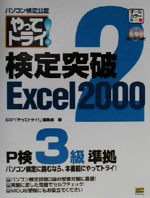 パソコン検定公認やってトライ！検定突破Excel2000(2) P検3級準拠/MOUSにも対応 「やってトライ！」シリーズ