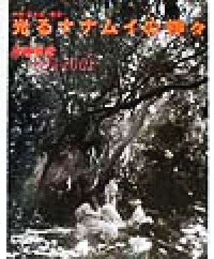 光るナナムイの神々 沖縄・宮古島～西原～ 1997～2001 チルチンびとライブラリー2