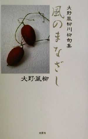 大野風柳川柳句集 風のまなざし 大野風柳川柳句集