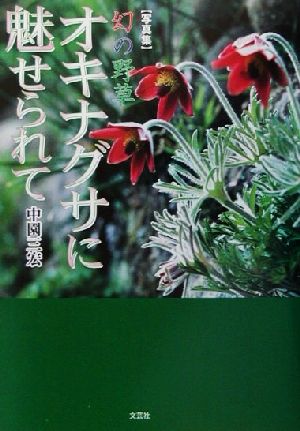 幻の野草 オキナグサに魅せられて 写真集