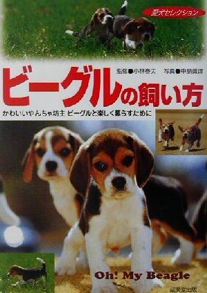 ビーグルの飼い方 かわいいやんちゃ坊主ビーグルと楽しく暮らすために 愛犬セレクション