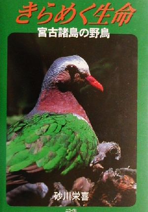 きらめく生命・宮古諸島の野鳥 宮古諸島の野鳥