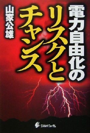 電力自由化のリスクとチャンス