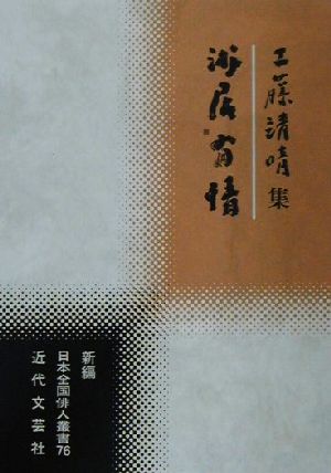 游居有情 工藤靖晴集 新編日本全国俳人叢書76