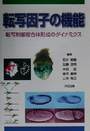 転写因子の機能 転写制御複合体形成のダイナミクス