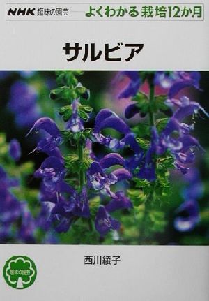 趣味の園芸 サルビア よくわかる栽培12か月 NHK趣味の園芸