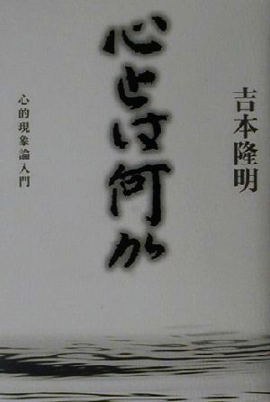 心とは何か 心的現象論入門