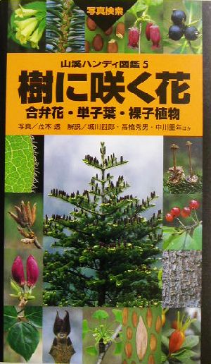 樹に咲く花 合弁花・単子葉・裸子植物山渓ハンディ図鑑5