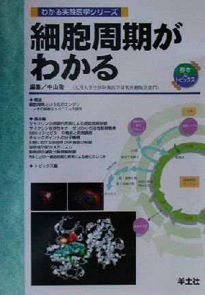 細胞周期がわかる わかる実験医学シリーズ基本&トピックス