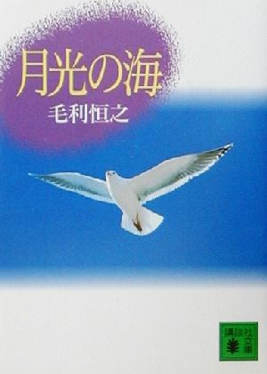 月光の海 講談社文庫