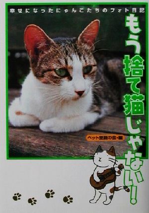 もう捨て猫じゃない！ 幸せになったにゃんこたちのフォト日記