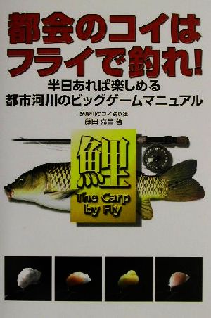 都会のコイはフライで釣れ！ 半日あれば楽しめる都市河川のビッグゲームマニュアル