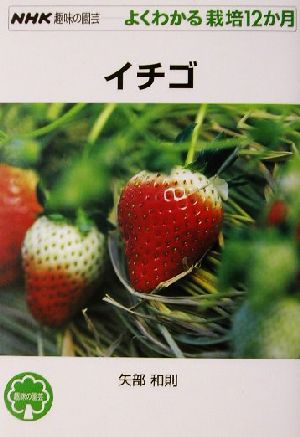 趣味の園芸 イチゴ よくわかる栽培12か月 NHK趣味の園芸